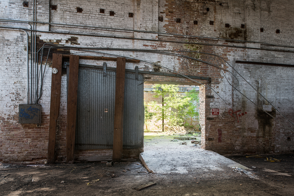 ZANE WILLIAMS photographer 