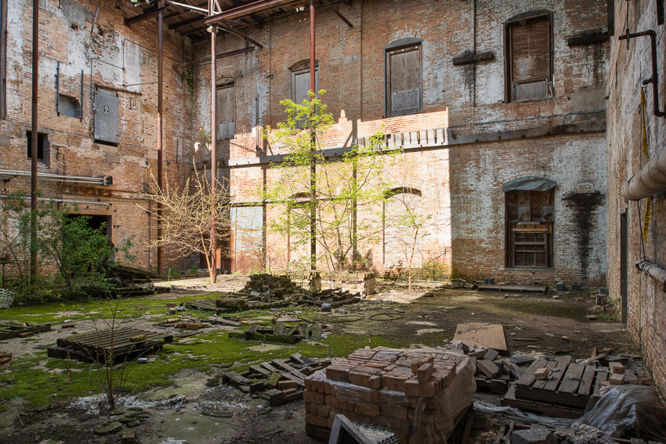 ZANE WILLIAMS photographer 