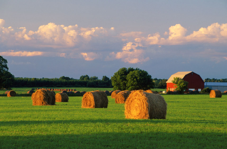 Zane Williams Photography WISCONSIN STOCK